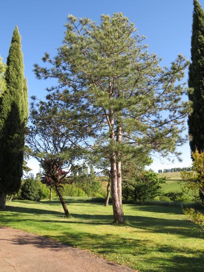Nature'S Pace Holidays Montmaur  Exteriör bild